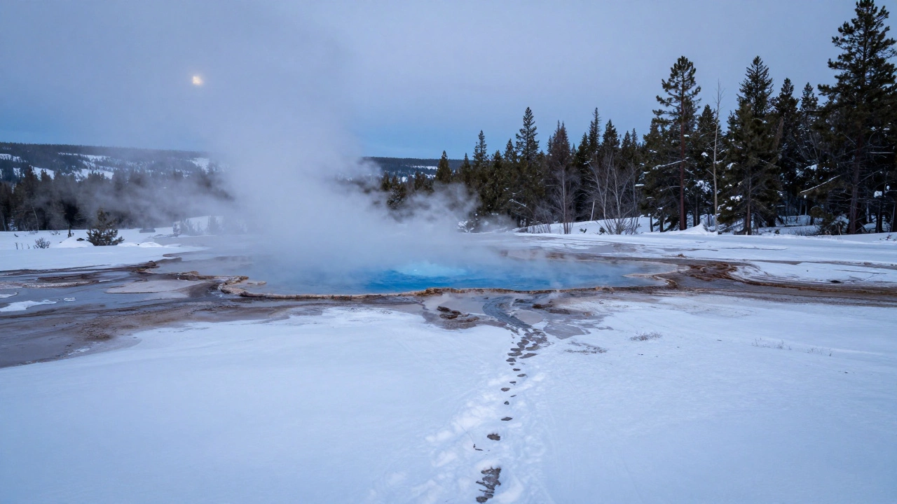 Зимний Йеллоустон: пар от горячих источников и следы волков в снегу при лунном свете.
